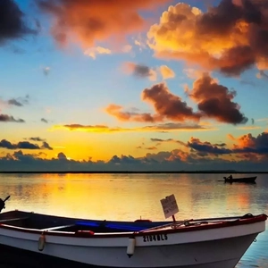 javhd69 hairy pussy xxx
